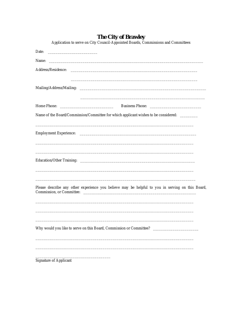 First page of the Application to Serve on City Council-Appointed Boards, Commissions and Committees