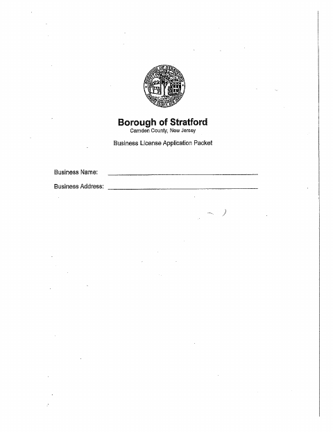 First page of the Mercantile Business License Application Packet