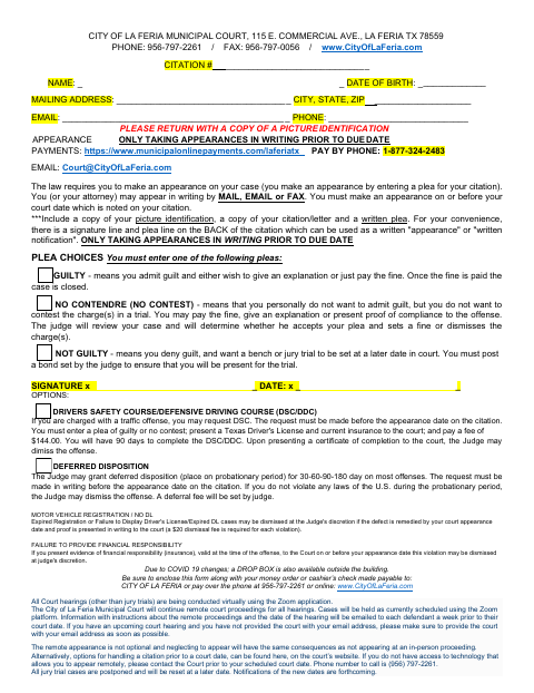 First page of the Virtual Appearance Information