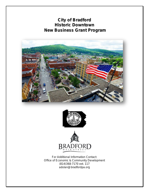 First page of the Historic Downtown New Business Grant Application