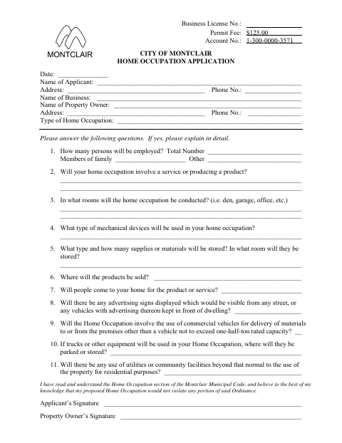 First page of the Home Occupation Application