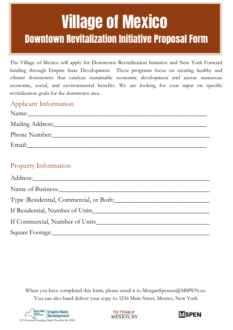 First page of the Downtown Revitalization Initiative Proposal Form