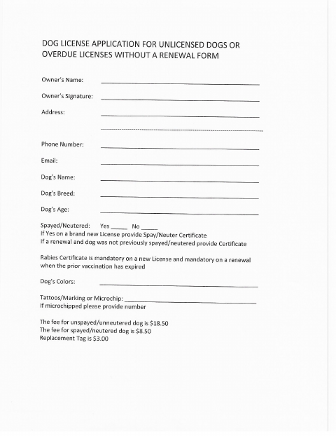 First page of the Dog License Application