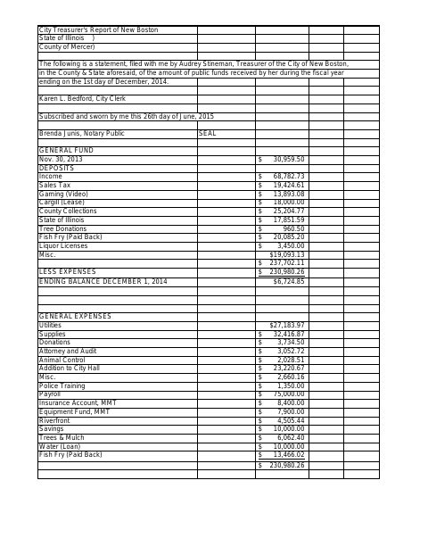 First page of the Annual Treasurer's Report