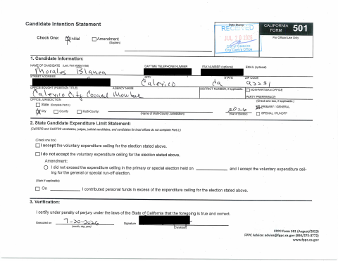 First page of the Candidate Intention Statement (Form 501)