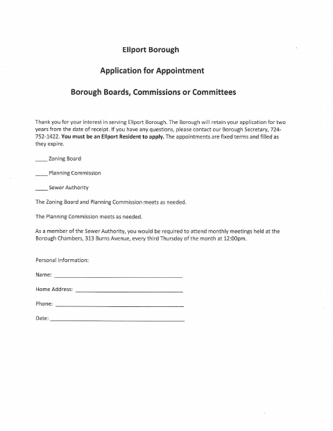 First page of the Borough Boards, Commissions, or Committees Appointment Application