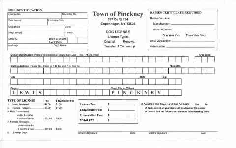 First page of the Dog License Form
