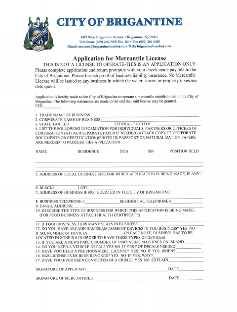 First page of the Mercantile License Application