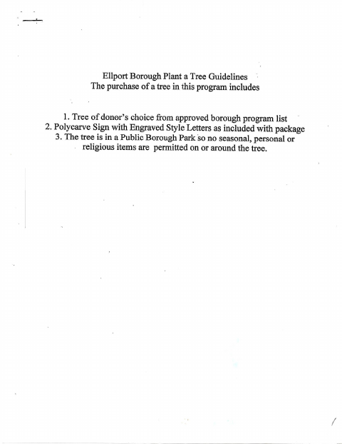 First page of the Plant a Tree Program