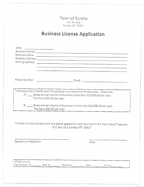 First page of the Business License Application