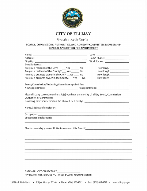 First page of the Board Appointment Application