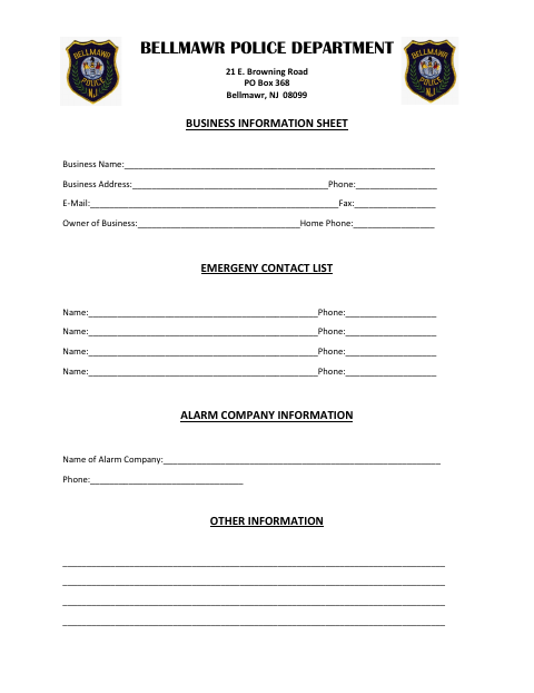 First page of the Business Information Sheet