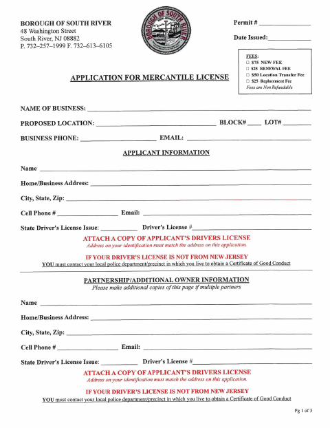 First page of the Mercantile License Application