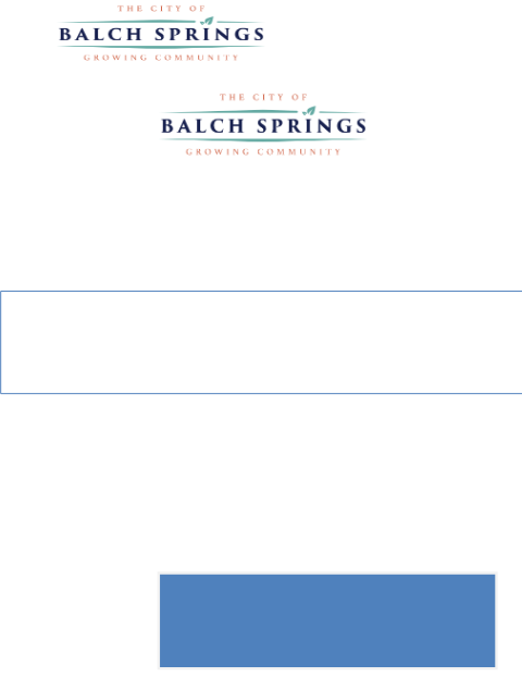 First page of the Application for Special Use Permit