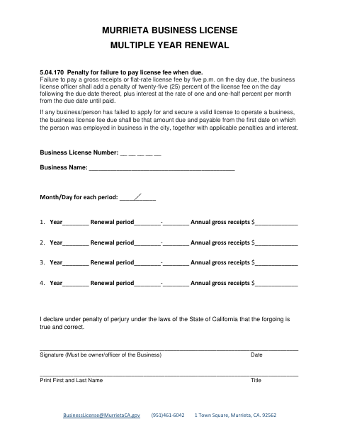 First page of the Business License Multiple Year Renewal