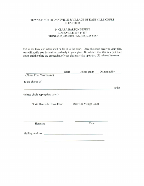 First page of the Court Plea by Mail Form
