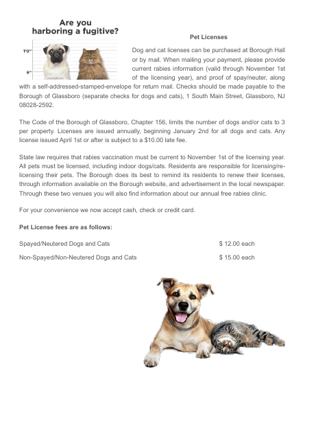 First page of the Certificate of Exemption From Rabies Vaccination