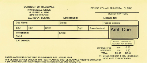 First page of the 2022 NJ Cat License