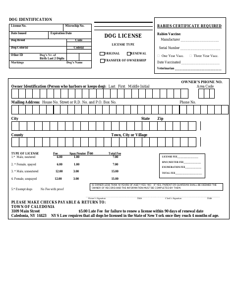 First page of the Dog License
