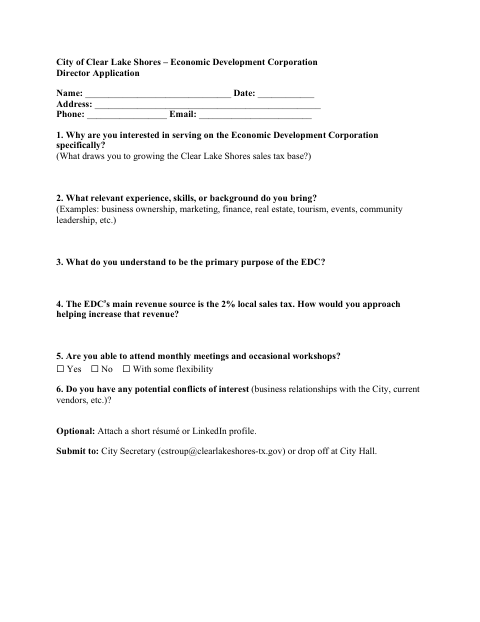 First page of the Economic Development Corporation Director Application