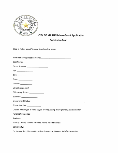 First page of the Micro-Grant Application