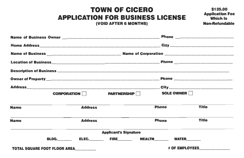 First page of the Application for Business License