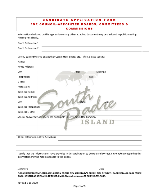 First page of the Candidate Application Form for Council-Appointed Boards, Committees & Commissions