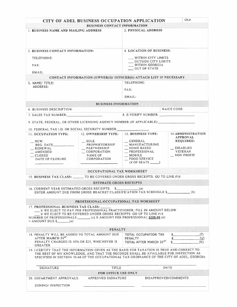First page of the Business Occupation License Application