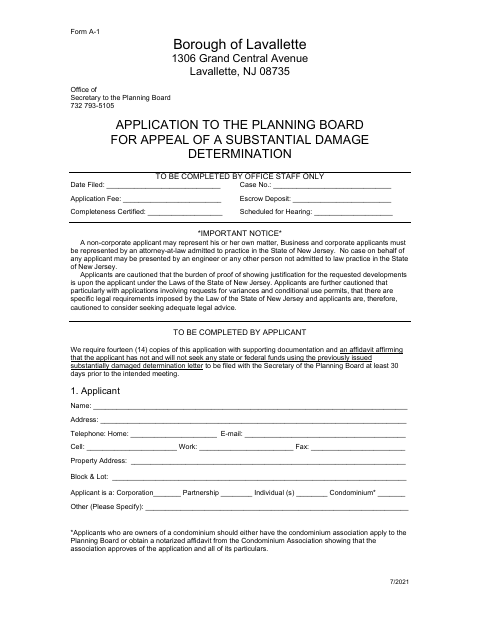 First page of the Substantial Damage Appeal Application