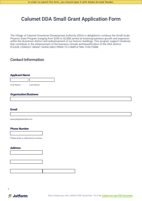 First page of the DDA Small Grant Application Form