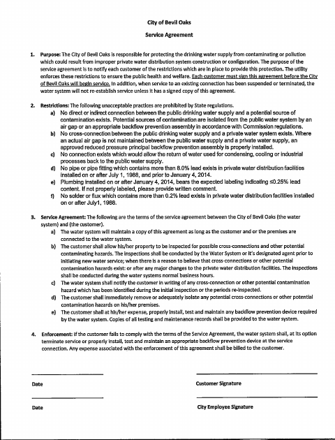 First page of the Service Agreement