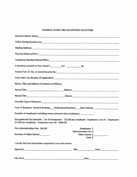 First page of the Business License and Occupation Tax Return