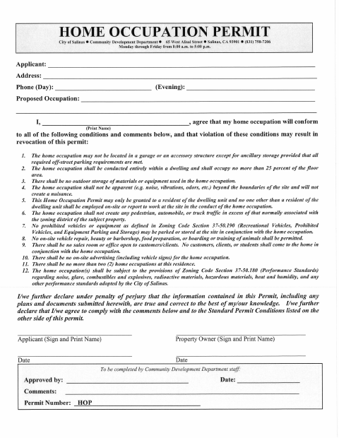 First page of the Home Occupation Permit