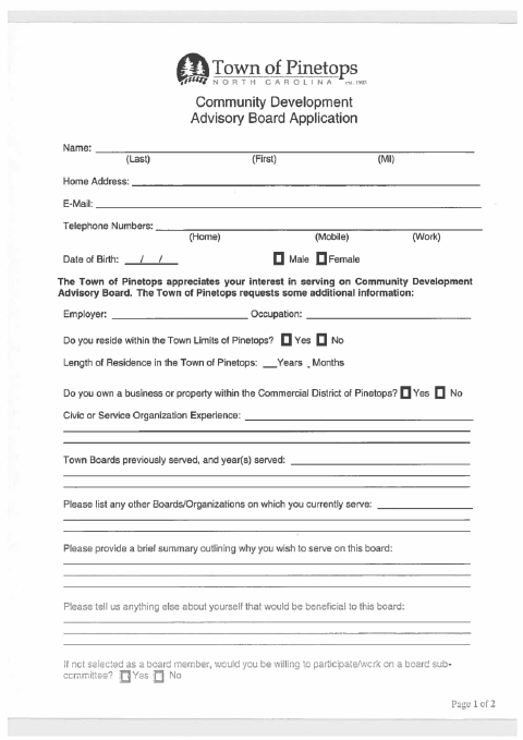 First page of the Community Development Advisory Board Application