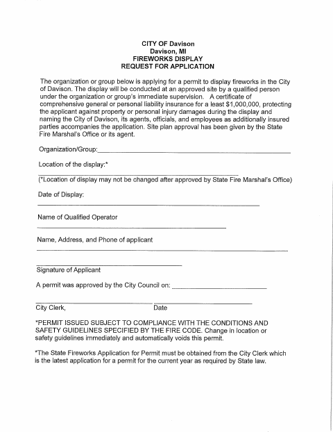 First page of the Fireworks Display Application