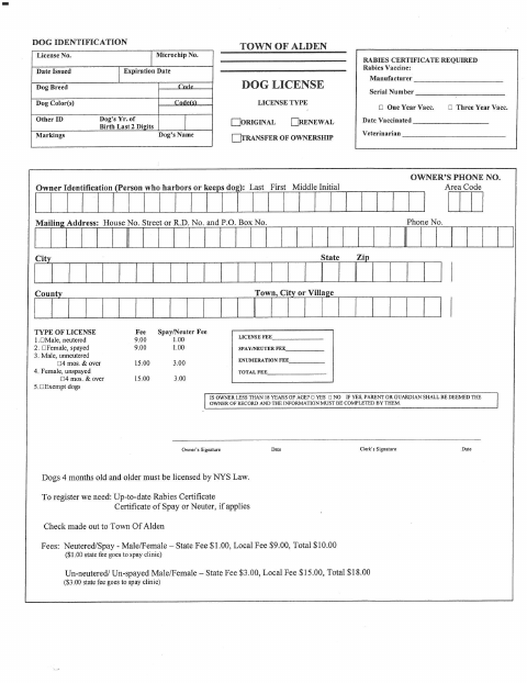 First page of the Dog License Application