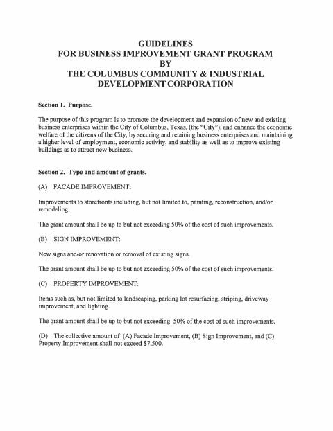 First page of the Business Improvement Grant Application
