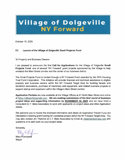 First page of the Small Projects Fund Application