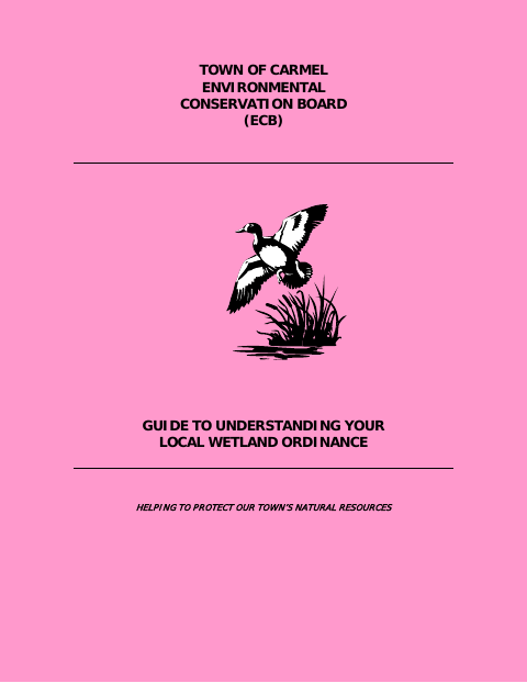 First page of the Wetland Permit Application