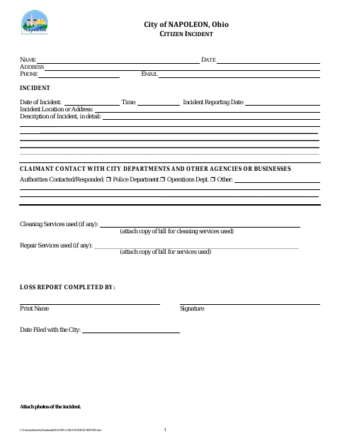 First page of the Citizen Incident Report
