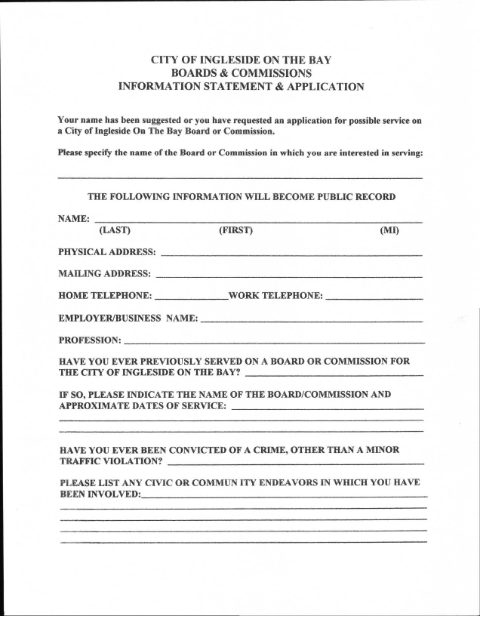 First page of the Boards & Commissions Information Statement & Application